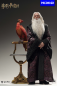 Preview: INART Collectibles Harry Potter and the Chamber of Secrets - Albus Dumbledore (Premium) 1/6 Collectible Figure